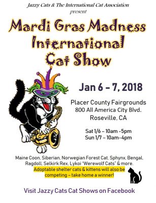 International Cat Show And Pet Food Drive Jazzy Cats At The Grounds Placer County Roseville Ca Festivals