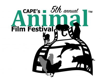 Animal Film Festival Kick-Off