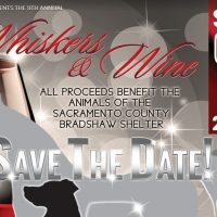 Whiskers and Wine Fundraiser