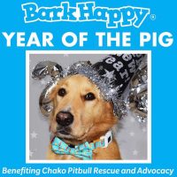 BarkHappy Sacramento Year of the Pig Pawty