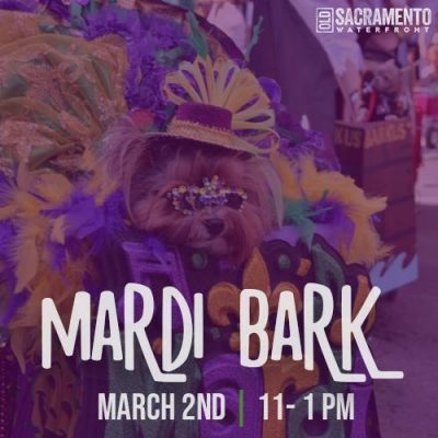 Mardi Bark Parade