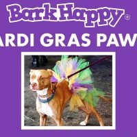 BarkHappy Sacramento Mardi Gras Pawty