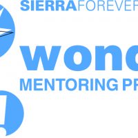 Wonder Mentoring Program