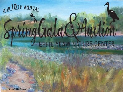 Spring Gala and Art Auction