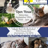 Happy Tails Open House