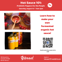 Hot Sauce 101: Probiotic Peppers for the People!