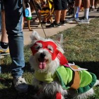 Midtown Halloween Festival and Pooch Parade