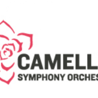 Camellia's Free Family Concert