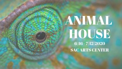 Call for Artists: Animal House