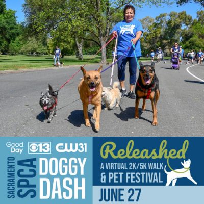 Sacramento SPCA Doggy Dash