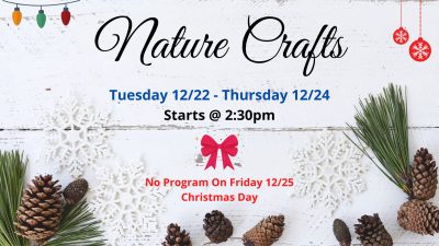 Nature Crafts
