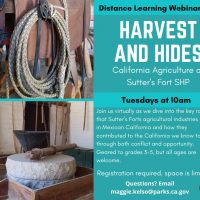 Harvest and Hides: Agriculture at Sutter's Fort