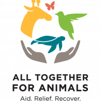 All Together for Animals Virtual Concert