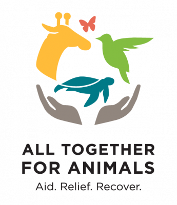 All Together for Animals Virtual Concert