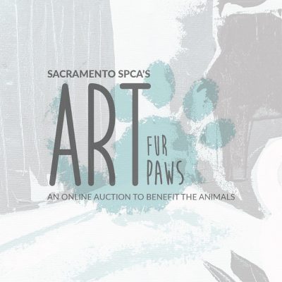 Art Fur Paws Online Art Auction