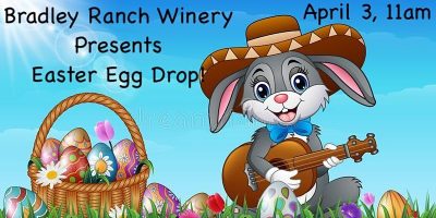Bradley Ranch Winery Easter Egg Drop