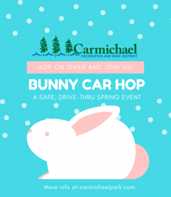 Bunny Car Hop