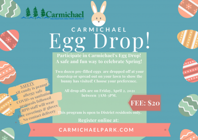Carmichael Egg Drop