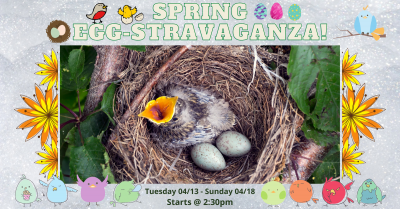 Spring Egg-Stravaganza