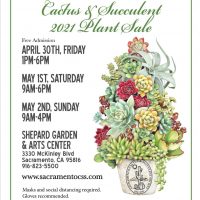 Sacramento Cactus and Succulent Society Spring Sale