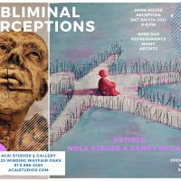 Subliminal Perceptions: July ACAI Gallery Show