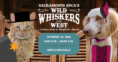 Sacramento SPCA Fall Gala