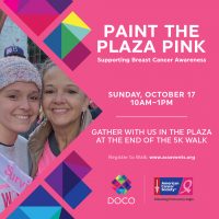 Paint the Plaza Pink