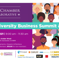 Local Chamber Collaborative 2021 Diversity Business Summit and Expo