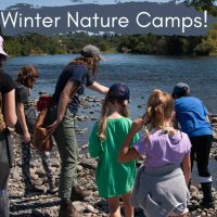 Effie Yeaw Nature Center Winter Nature Camps