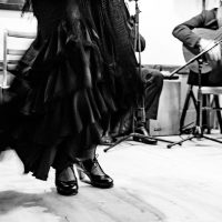 Love and Flamenco: A Valentines Dinner Performance...