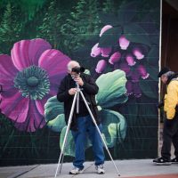 Celebrate Photography Month: Photo Walks in Grass Valley