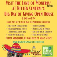 Open House for BIG Day of Giving