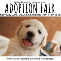 Pet Adoption Fair