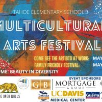 Multicultural Festival of the Arts