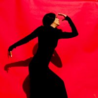 Eterno el Flamenco vive Sacramento