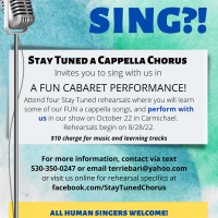 Sing and Perform with Stay Tuned A Cappella