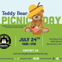 Teddy Bear Picnic Day