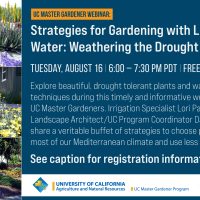 Strategies for Gardening with Limited Water: Weathering the Drought in California