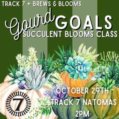 Brews and Blooms: Gourd Goals