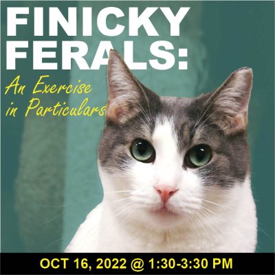 Finicky Ferals: An Exercise in Particulars