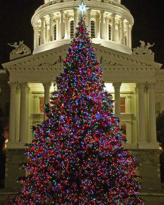 California State Capitol Tree Lighting Ceremony