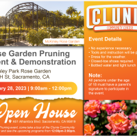 McKinley Rose Garden Pruning and Demonstration Event