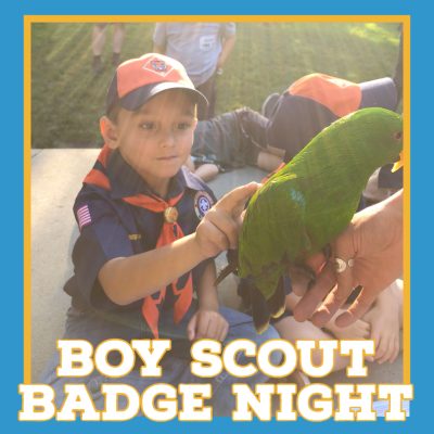 Cub Scout Badge Night: Fur, Feathers, and Ferns