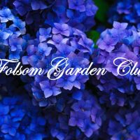 Folsom Garden Club Garden Tour