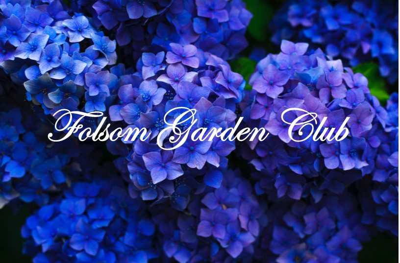 Folsom Garden Club Garden Tour