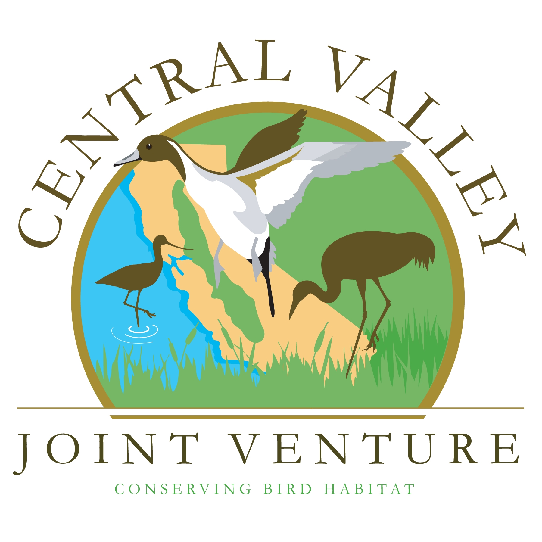Central Valley Joint Venture