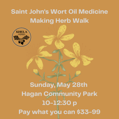 Saint John's Wort Medicine Making Herb Walk