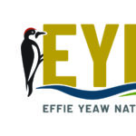Effie Yeaw Weekend Programs