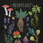 Herbology Day