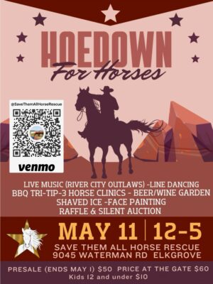 Hoedown for Horses